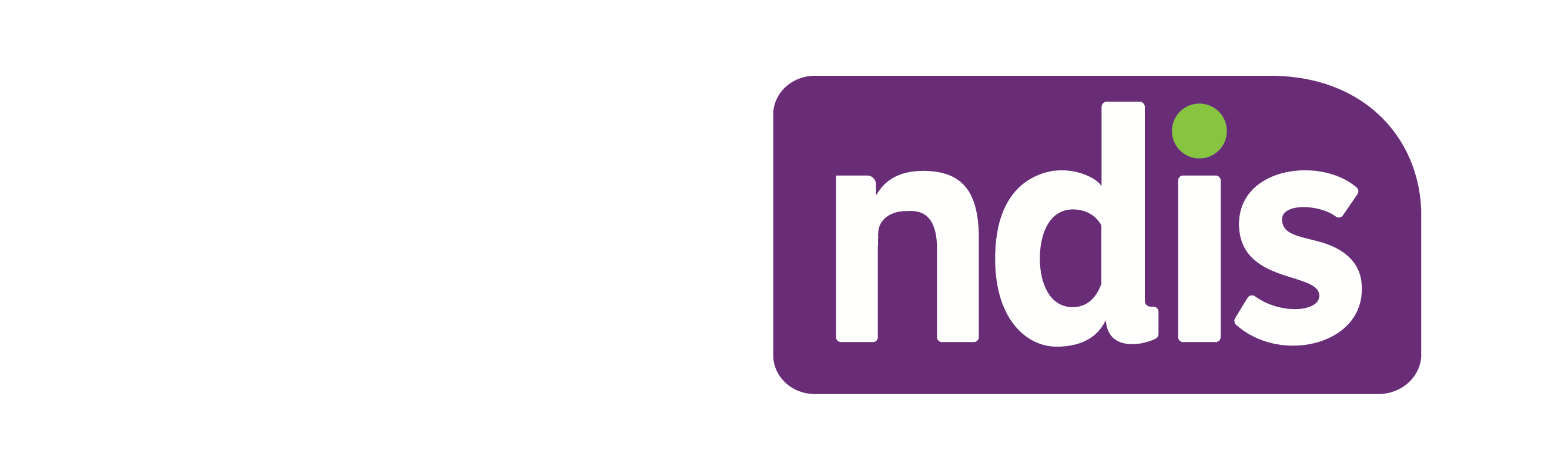 QC4NDIS Main while transparent logo